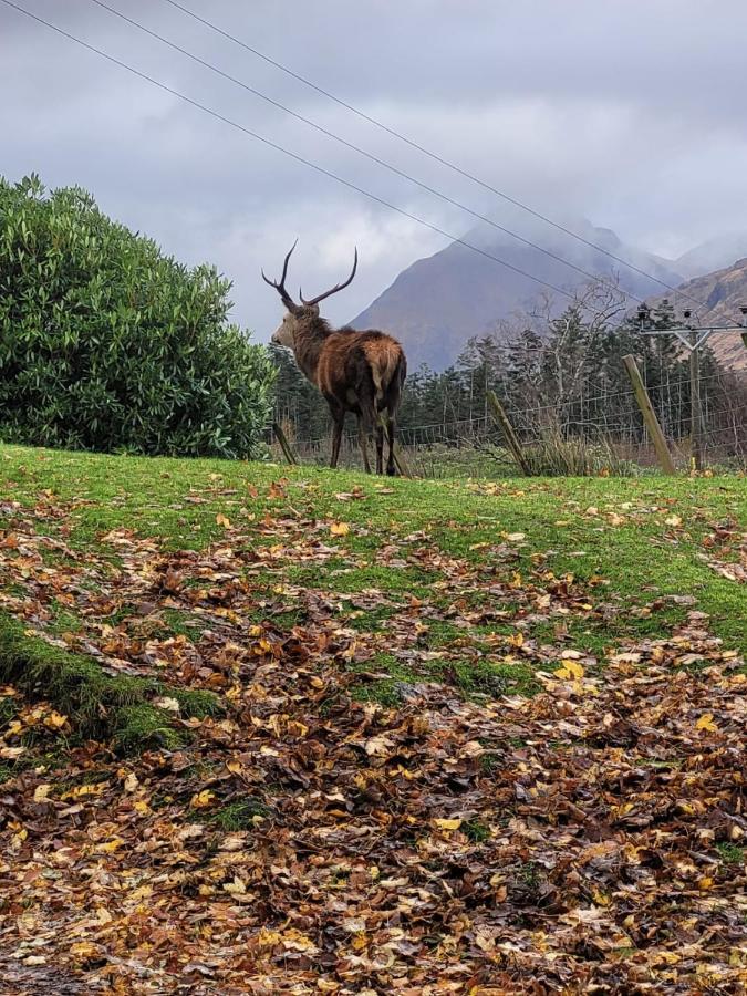Ormasaig, Self Catering, One Mile To Town & Close To Ben Nevis Villa Fort William Exterior foto